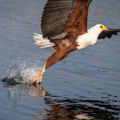 Take off   (Klicken zum öffnen)