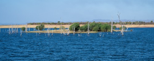 Die Uferlandschaften des Lake Kariba sind sehr abwechslungsreich   (Klicken zum öffnen)