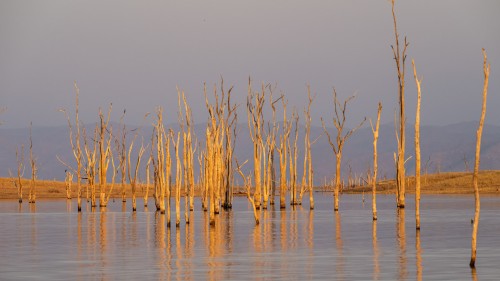 Abendstimmung bei den ehemaligen Mopane-Wäldern   (Klicken zum öffnen)