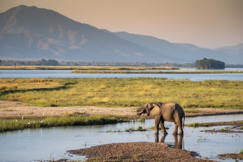 Die Mana Pools bieten beste Voraussetzungen für die Elefanten   (Klicken zum öffnen)