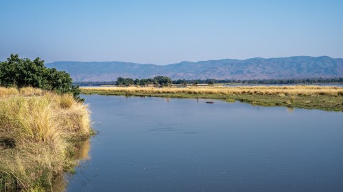 Zambesi river   (Klicken zum öffnen)