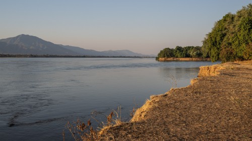 The banks of the zambezi   (Klicken zum öffnen)