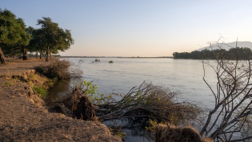 In der Regenzeit wirkt der Fluss zerstörerisch, es gibt sehr viel Schwemmholz   (Klicken zum öffnen)