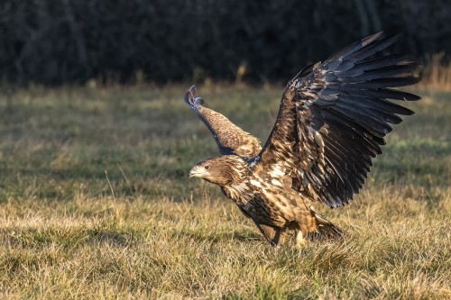 Am letzten Tag gab's endlich etwas Sonne   (Klicken zum öffnen)