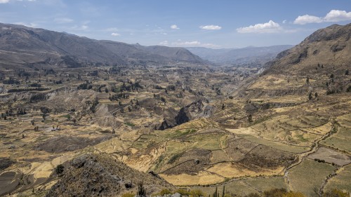 Das Valley wird vom Colca-Canyon durchschnitten   (Klicken zum öffnen)