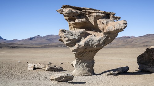 El Arbol de Piedra   (Klicken zum öffnen)