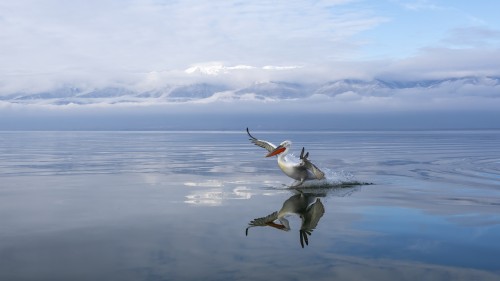 Der Keikirisee ist im Winter von Schneebergen umgeben   (Klicken zum öffnen)