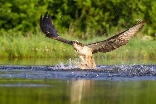 Take off...   (Klicken zum öffnen)