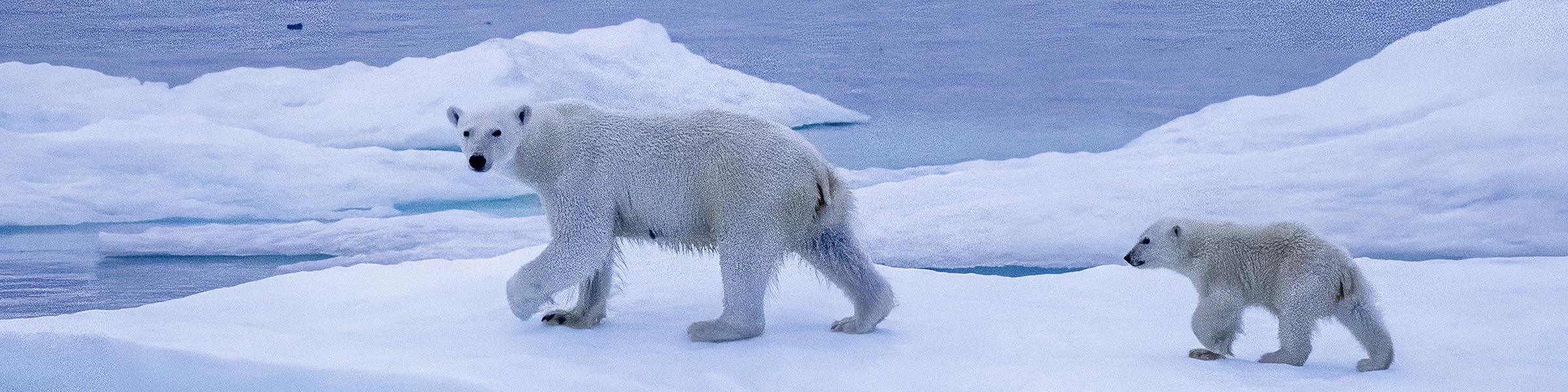 Nordwestpassage Nordwestpassage
